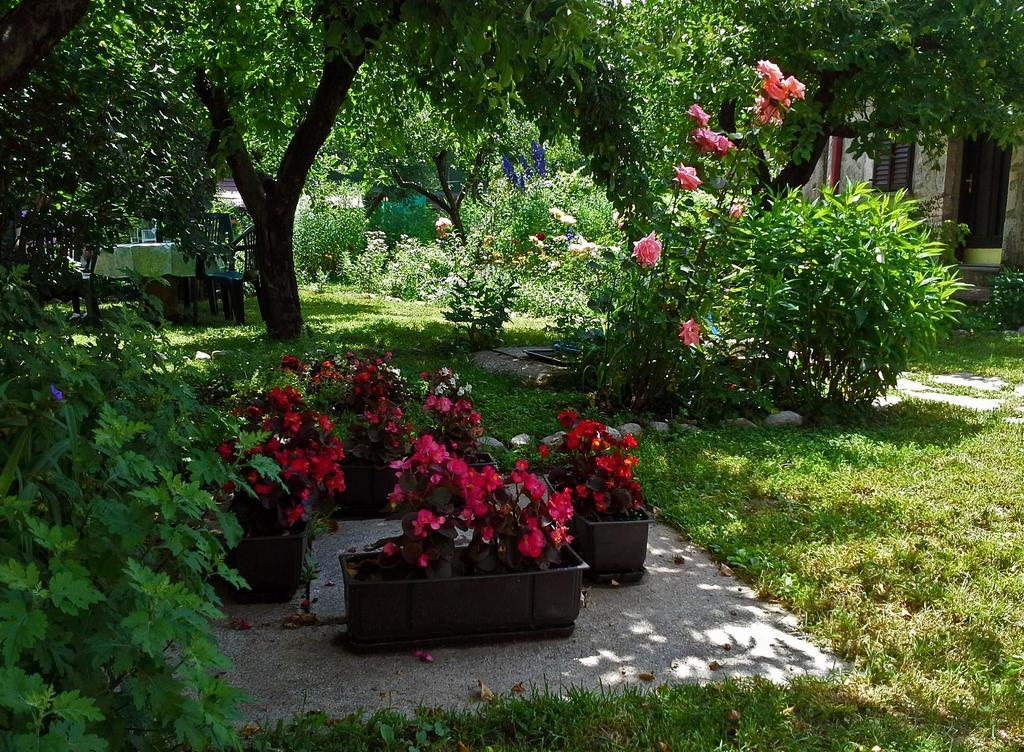 La Vecchia Casa Otel Cetinje Dış mekan fotoğraf